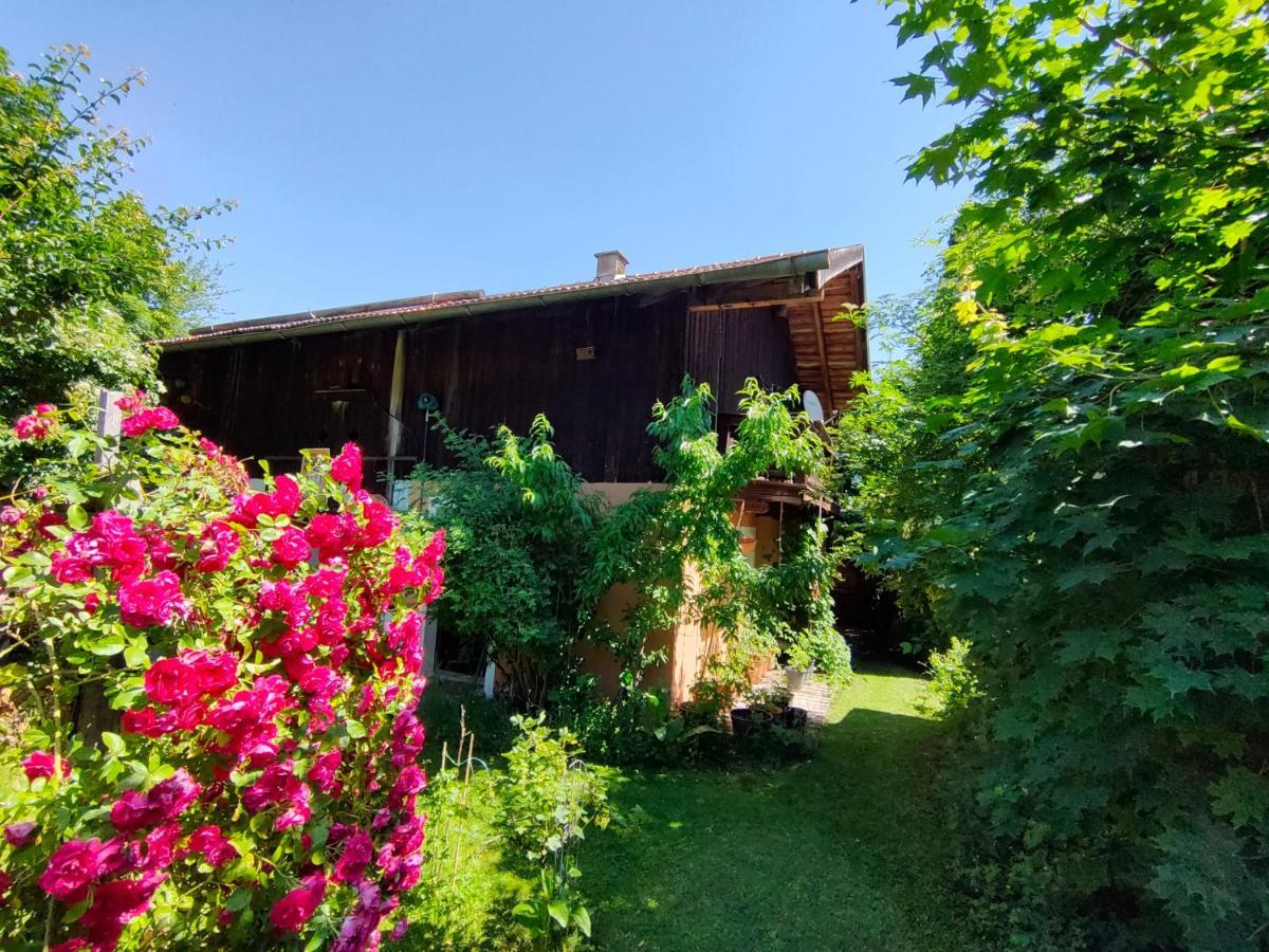 Gemuetliche Mit Kamin Und Garten Apartment *
